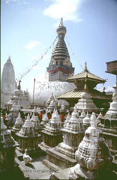 monkeytemple kathmandu nepal